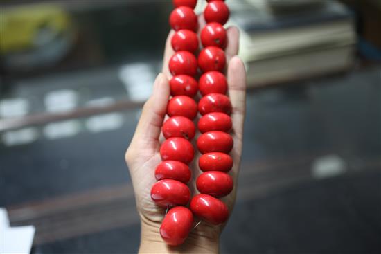 A single strand stained large coral bead necklace, 18in.